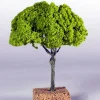 * Albero Ad Innesto Senza Base 14Cm