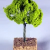 * Albero Ad Innesto Senza Base 9Cm