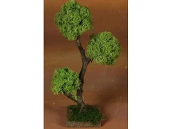 * Albero Legno H.27Cm C/Lichene