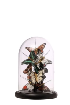 * Campana Vetro Con Farfalle 17,5X26Cm