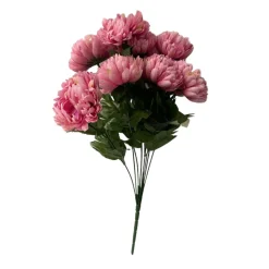 * Cespuglio Crisantemo Rosa H45Cm