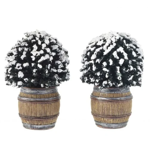 LUVILLE Cespuglio Di Buxus In Botte - Buxus Bush In Barrel