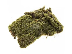* Muschio Naturale A Tappeto Per Presepe 350 Gr