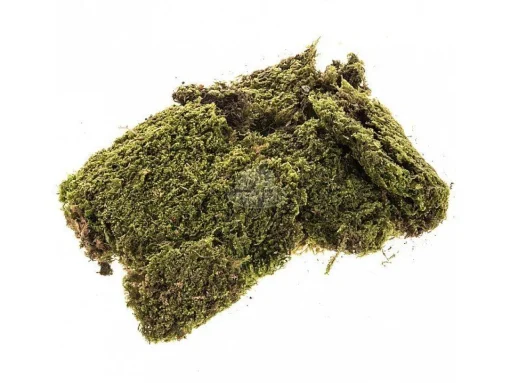 * Muschio Naturale A Tappeto Per Presepe 350 Gr