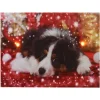 * Quadro Natalizio Con Cagnolino 20X15X2.5Cm Con Microled Bianco Caldo