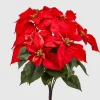* Ramo Con Stella Di Natale Rossa H51Cm