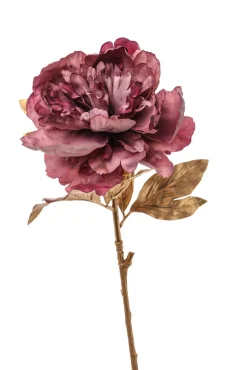 * Ramo Oro Con Peonia Rosa 70Cm