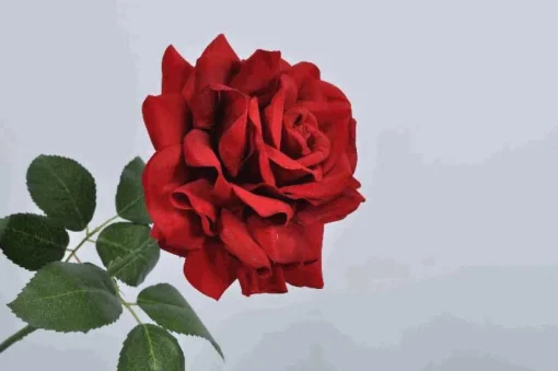 * Rosa Decorativa Con Gambo 65Cm Rosso E Verde
