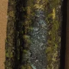 * Ruscello In Resina 27X12X5,5Cm