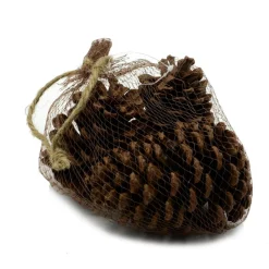 * Sacchetto 3 Pz Pigna Naturale
