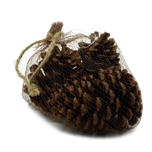 * Sacchetto 3 Pz Pigna Naturale